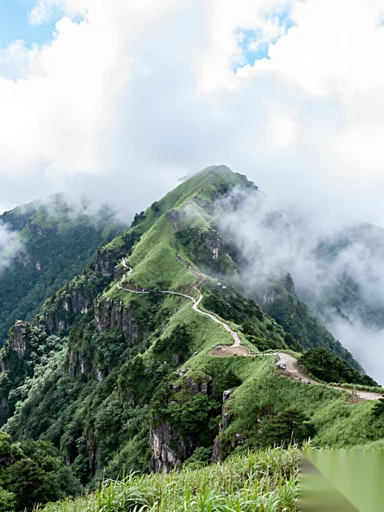 –How to Explore Yuzhou? A Travel Guide for the Best Experience–Govoyagenow